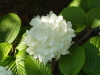 img0225.jpg
