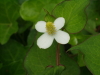 img0231.jpg
