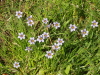 img0235.jpg