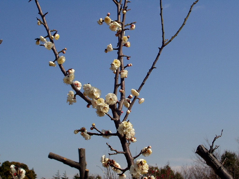 img0002.jpg