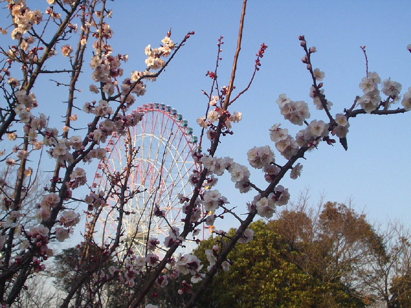 img0003.jpg