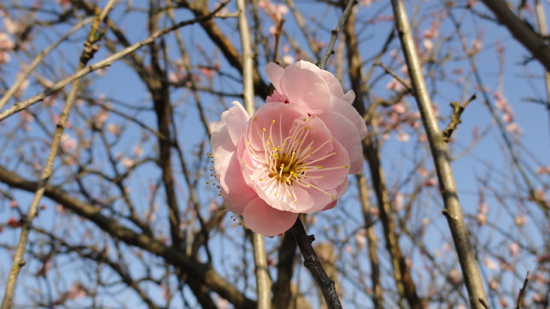 img0010.jpg