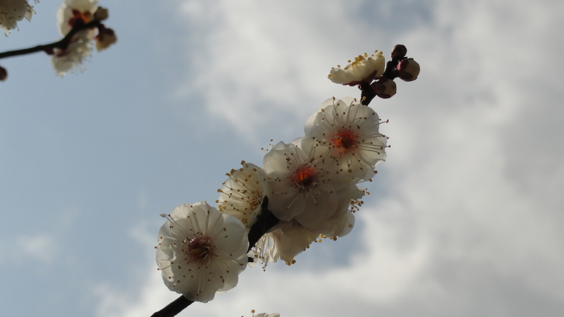 img0023.jpg