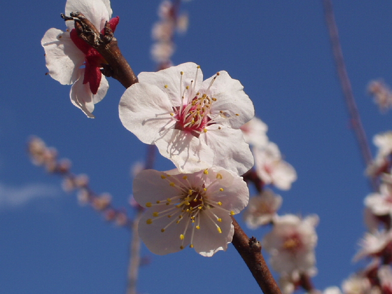img0045.jpg