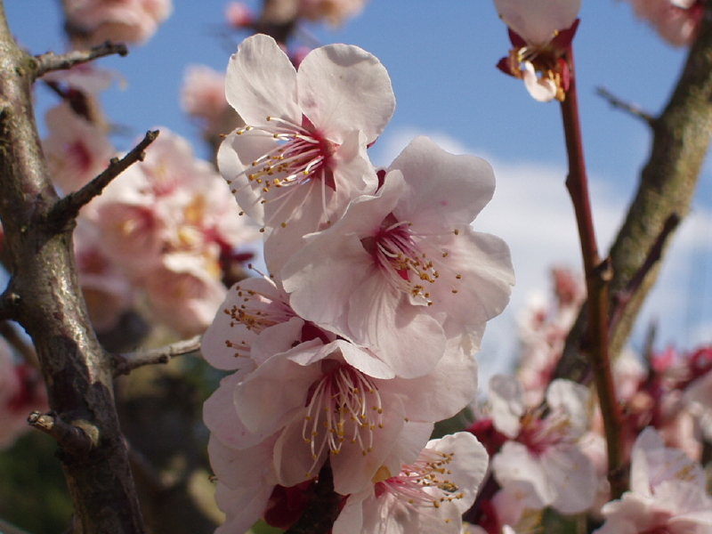 img0046.jpg