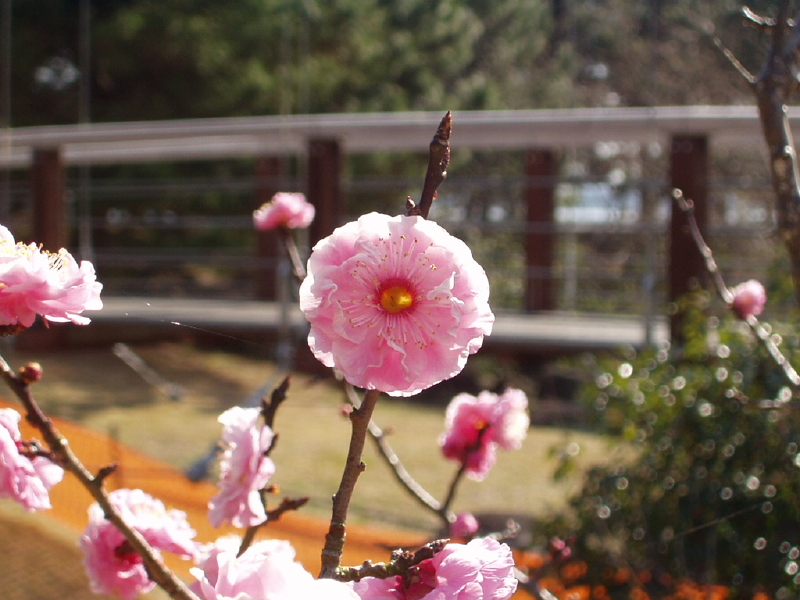 img0084.jpg