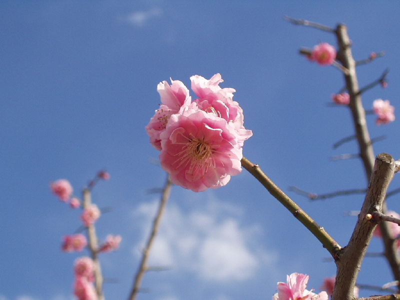 img0092.jpg