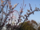 img0003.jpg