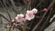 img0012.jpg