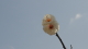 img0015.jpg