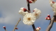 img0016.jpg