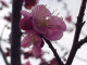 img0040.jpg