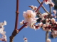 img0043.jpg