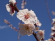 img0045.jpg