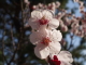 img0047.jpg