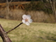 img0054.jpg