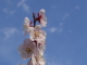 img0055.jpg
