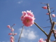 img0060.jpg