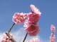 img0061.jpg