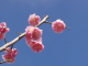img0062.jpg