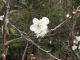 img0066.jpg