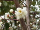 img0067.jpg