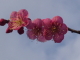 img0070.jpg