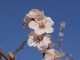 img0076.jpg