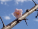 img0089.jpg