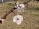 img0091.jpg