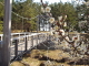 img0098.jpg