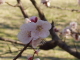 img0100.jpg