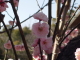 img0104.jpg