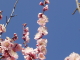img0106.jpg