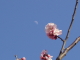 img0108.jpg