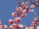 img0112.jpg