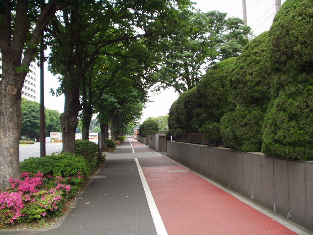 img0010.jpg