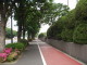 img0010.jpg