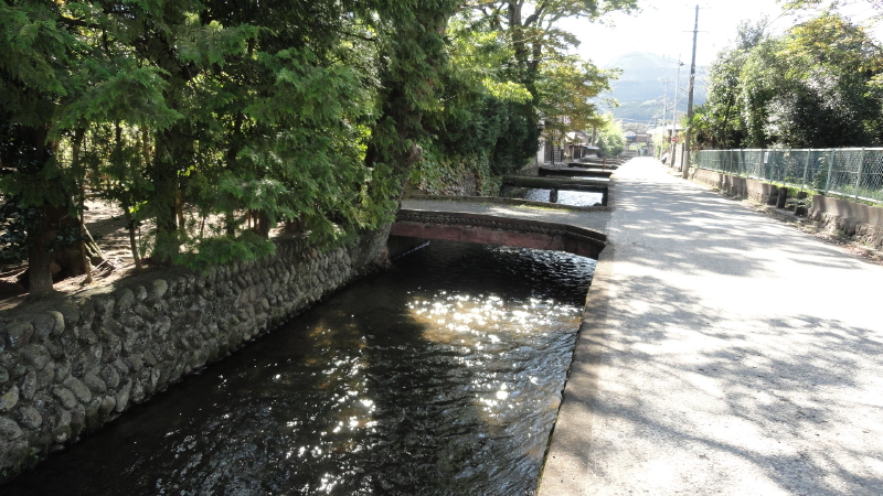 img0004.jpg