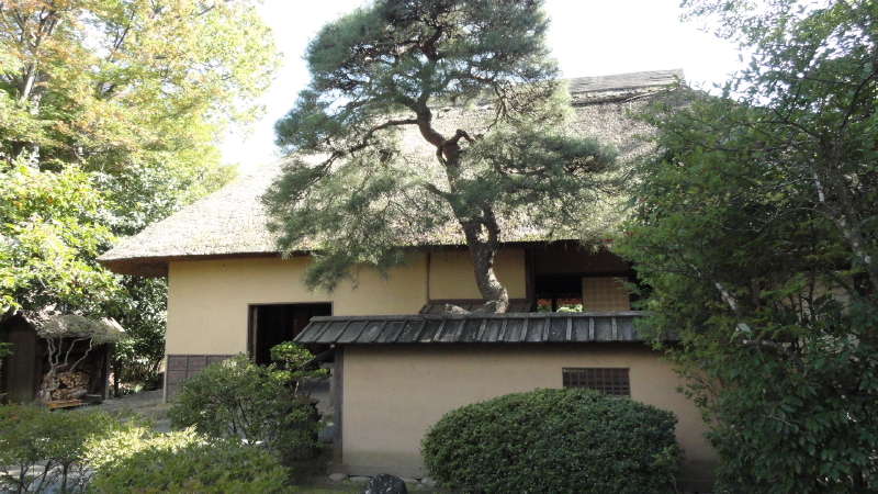 img0028.jpg