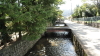 img0029.jpg