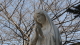 img0004.jpg