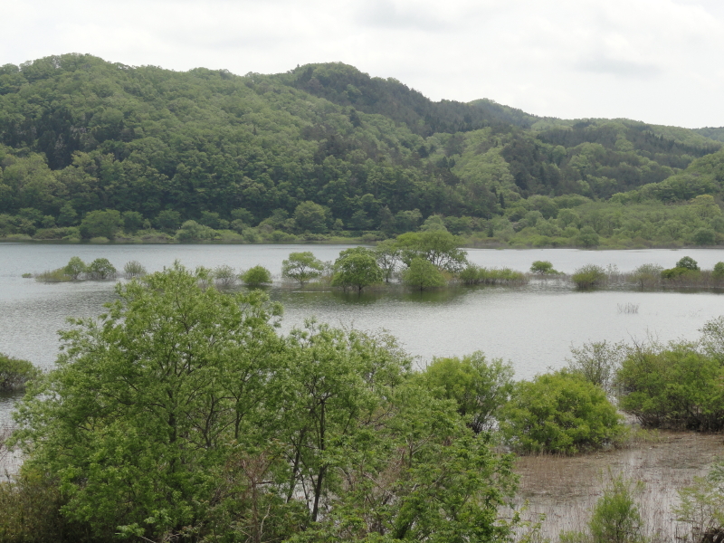 img0012.jpg