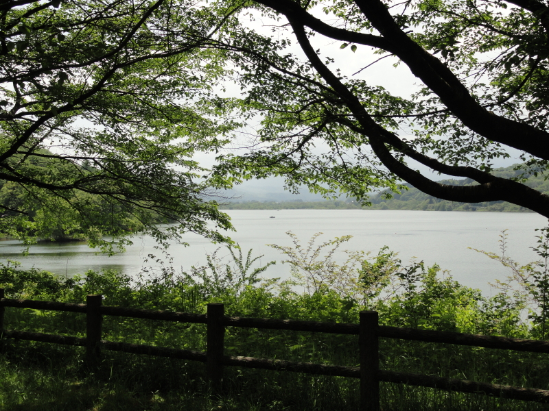 img0017.jpg