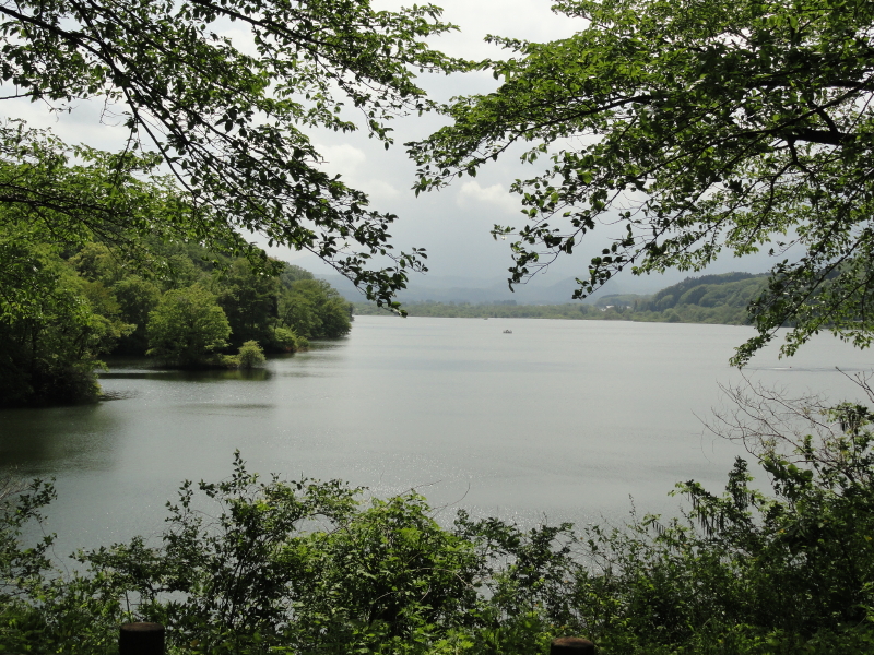 img0018.jpg