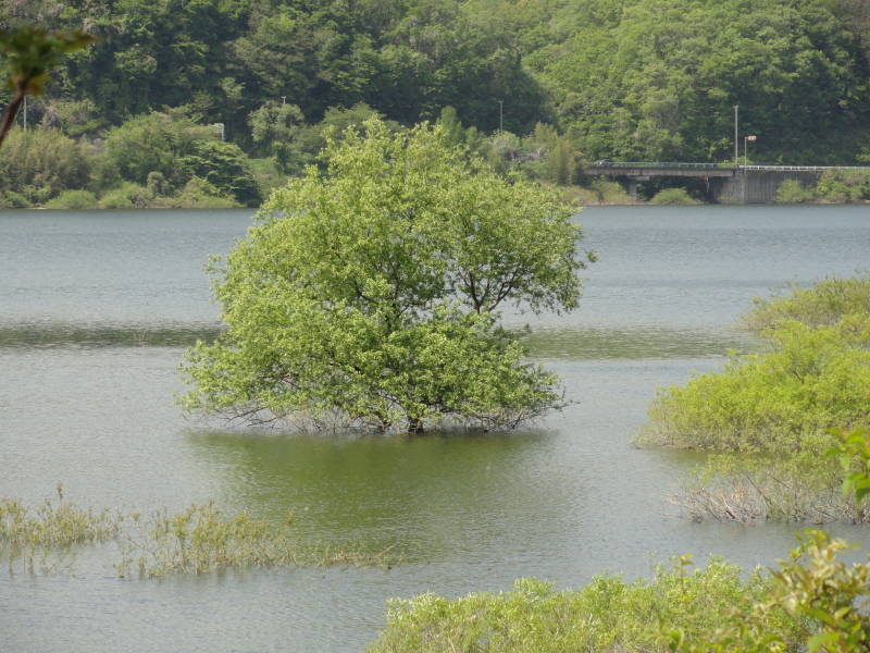 img0026.jpg