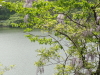 img0003.jpg