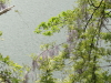 img0004.jpg