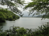 img0018.jpg
