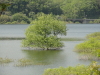 img0026.jpg